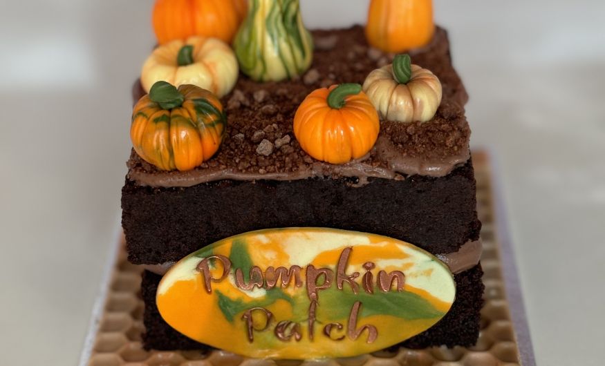 Pumpkin Patch cake with Chocolate Soil