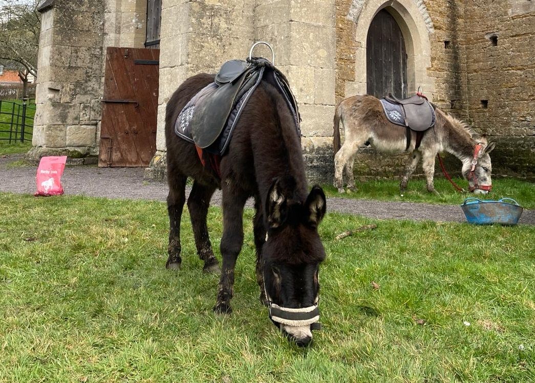 February Half Term: Farmyard Fun