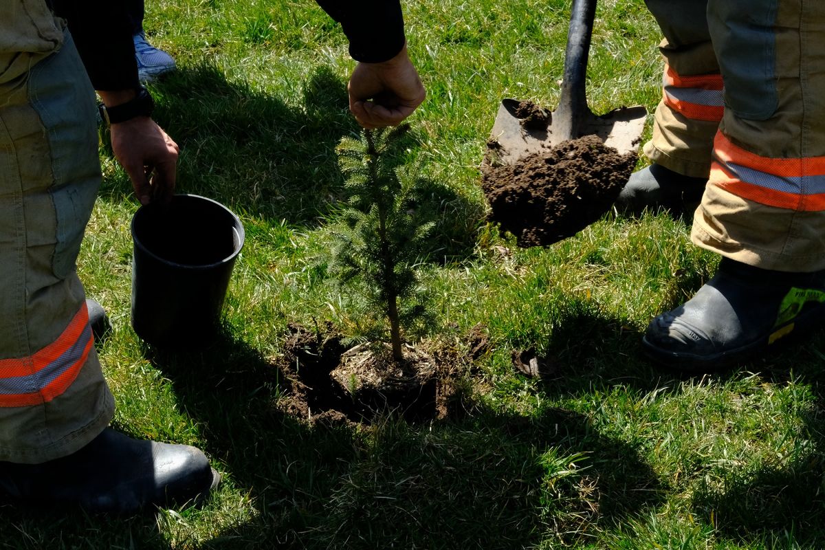NEW Community Tree Planting Event!