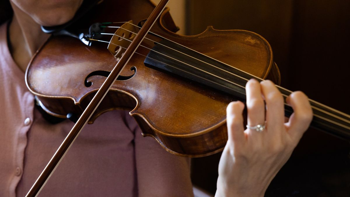 The Mountain Strings Bluegrass Band