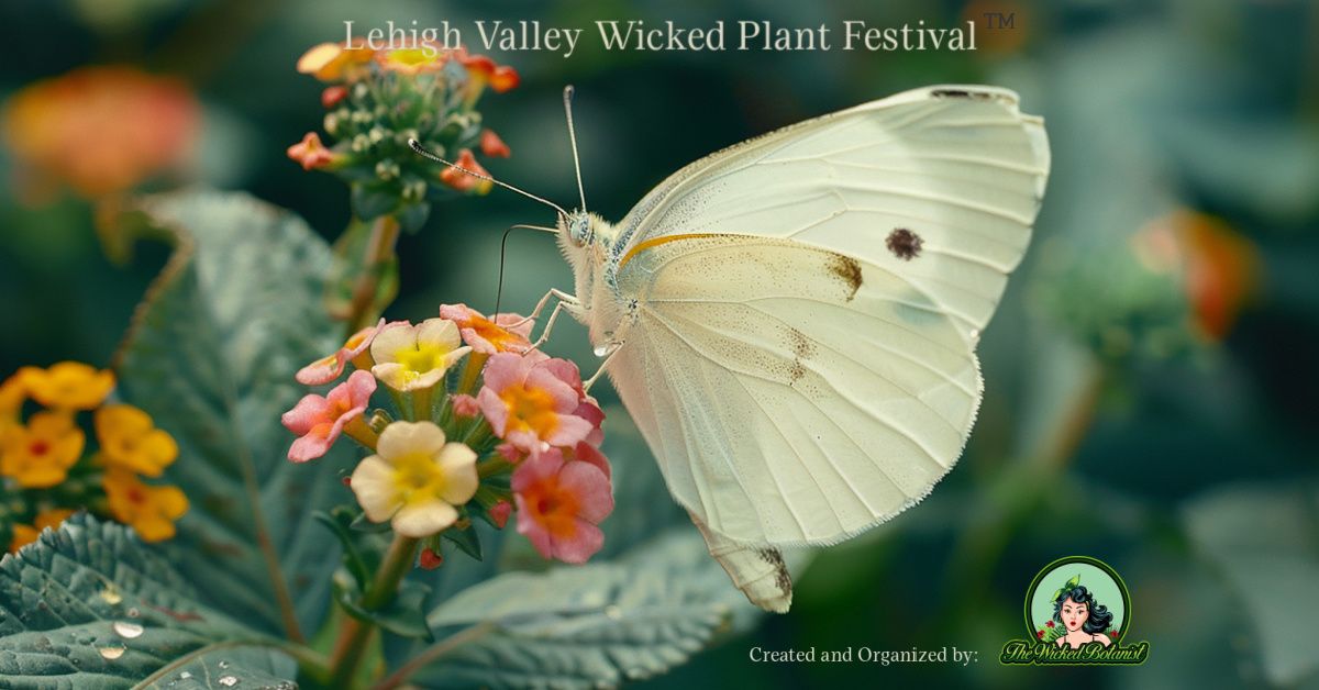 Lehigh Valley Wicked Plant Festival Spring Edition!