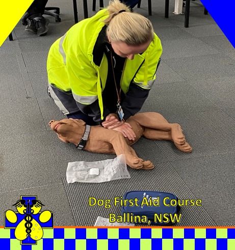 DEC\/2024 -Dog First Aid Course - Ballina, NSW