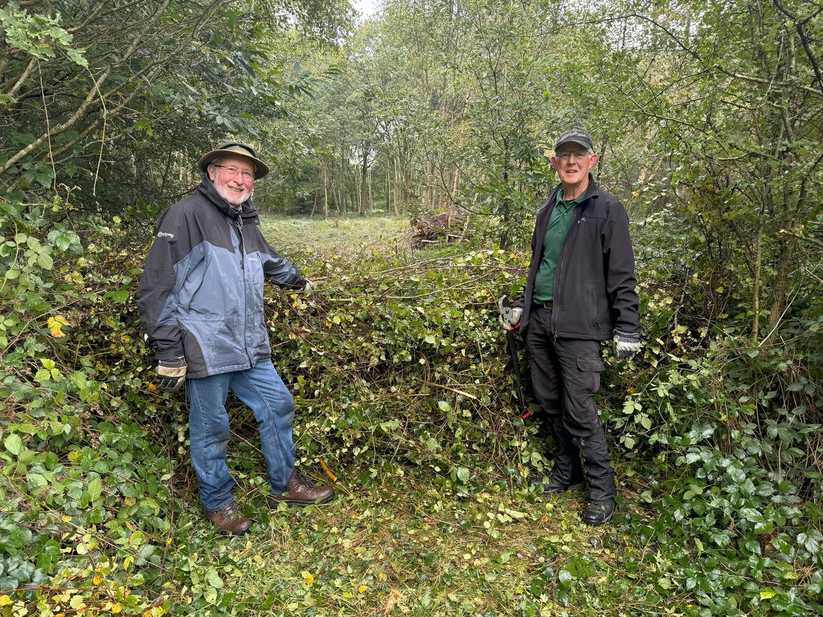 Practical Volunteer Task on Banstead Downs