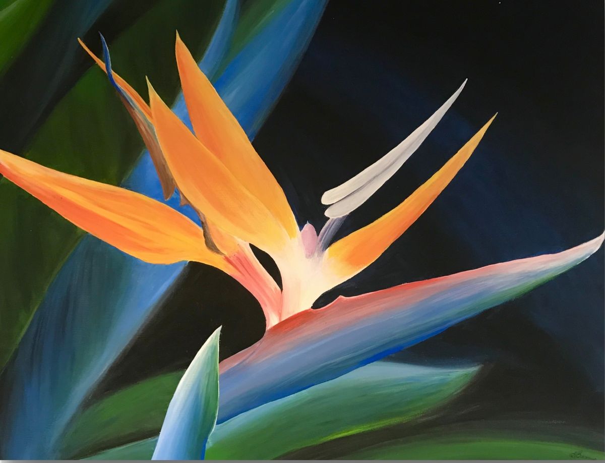 Thursday 6th March 6.30pm "Bird of Paradise" by Joanne Barnes