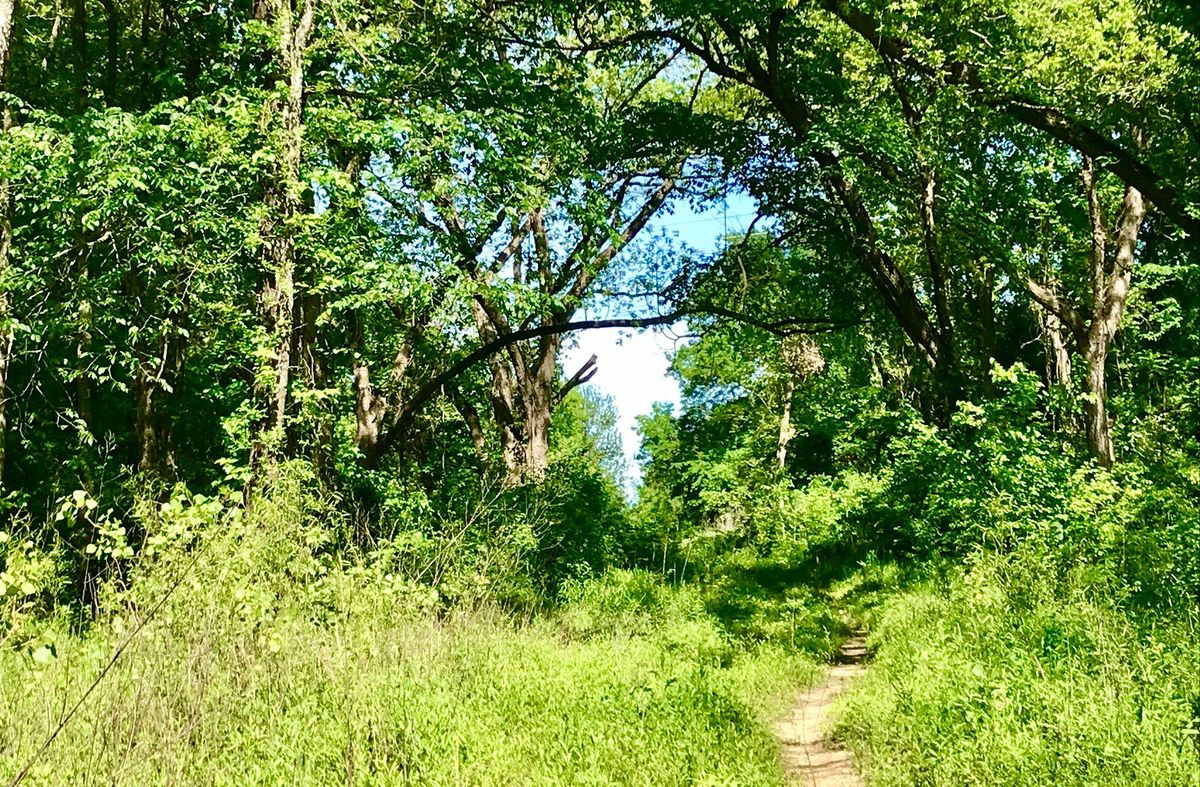 Holland Trail hike with Outdoor Explorer Texas