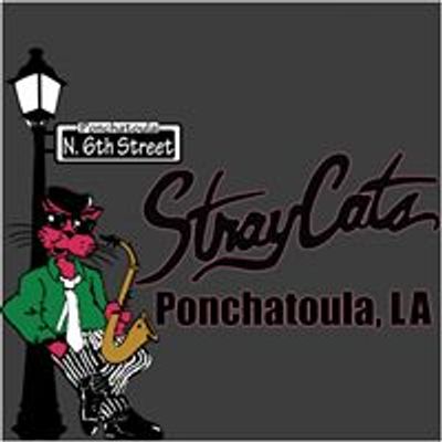 Stray Cats Ponchatoula