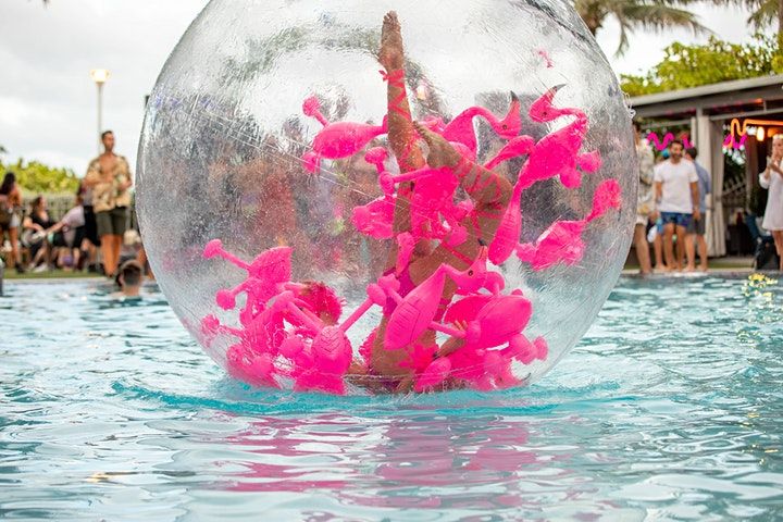 Pew Pew Miami Disco Pool Party [Sun, 4/24], Pew Pew Miami, 24 April to ...