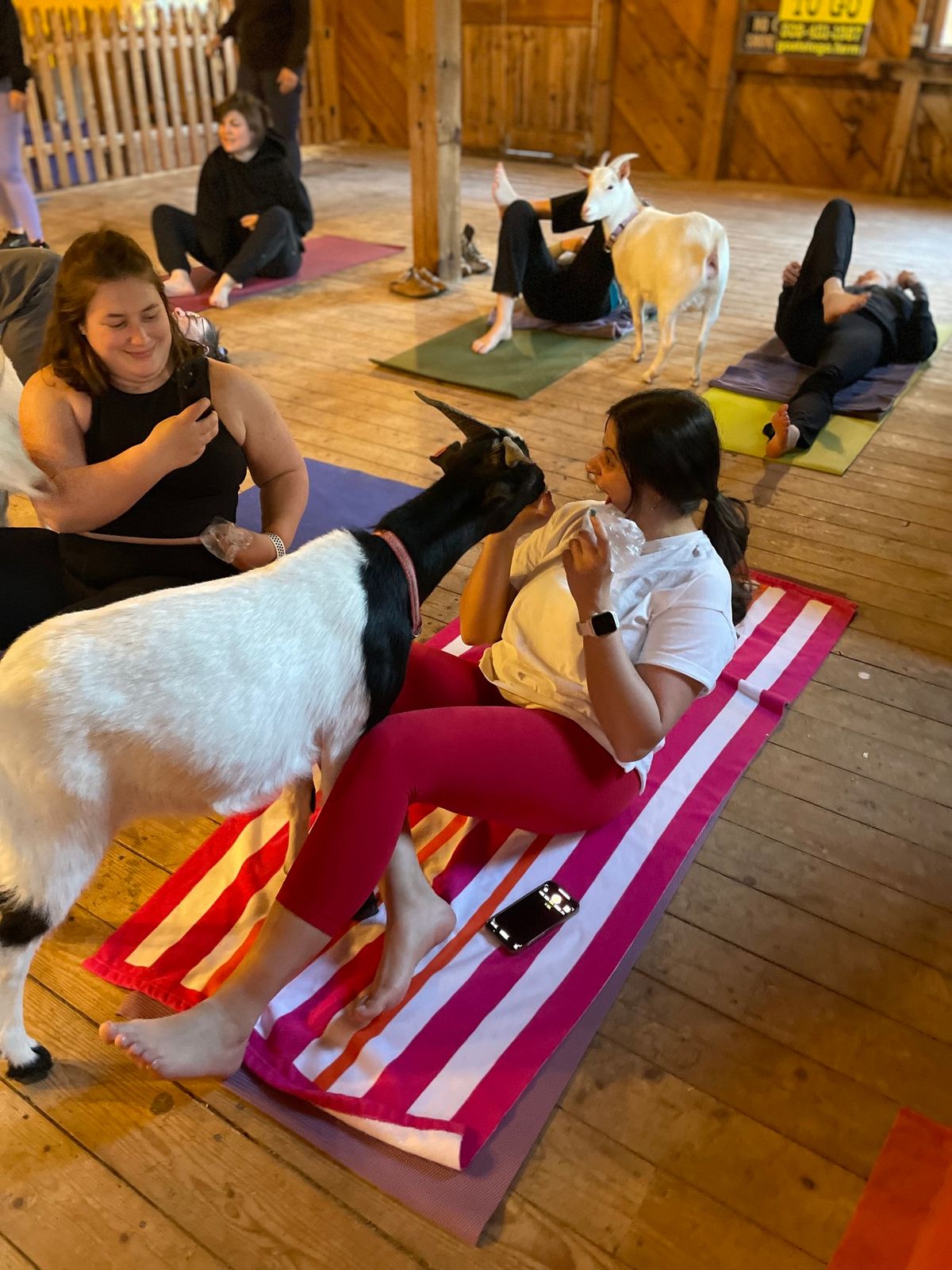 Mother\u2019s Day Goat Yoga & New Babies Social