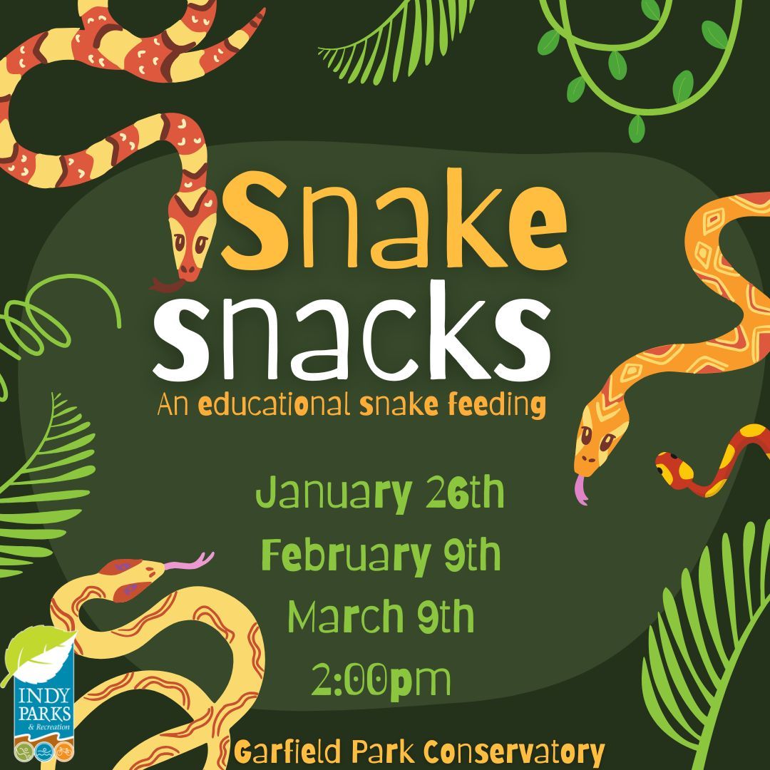 Snake Snacks- An Educational Snake Feeding