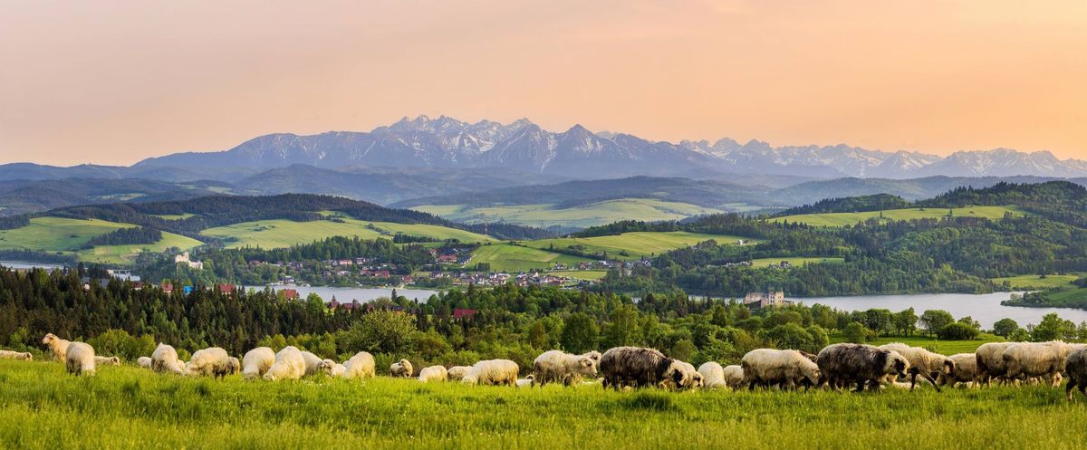 Jesienny Trekking w Pieninach + Redyk czyli kultowy sp\u0119d owiec