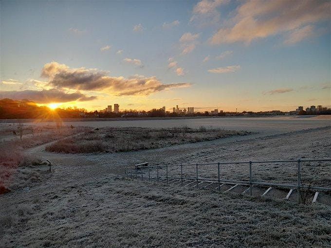 Kersal Wetlands Winter Walk