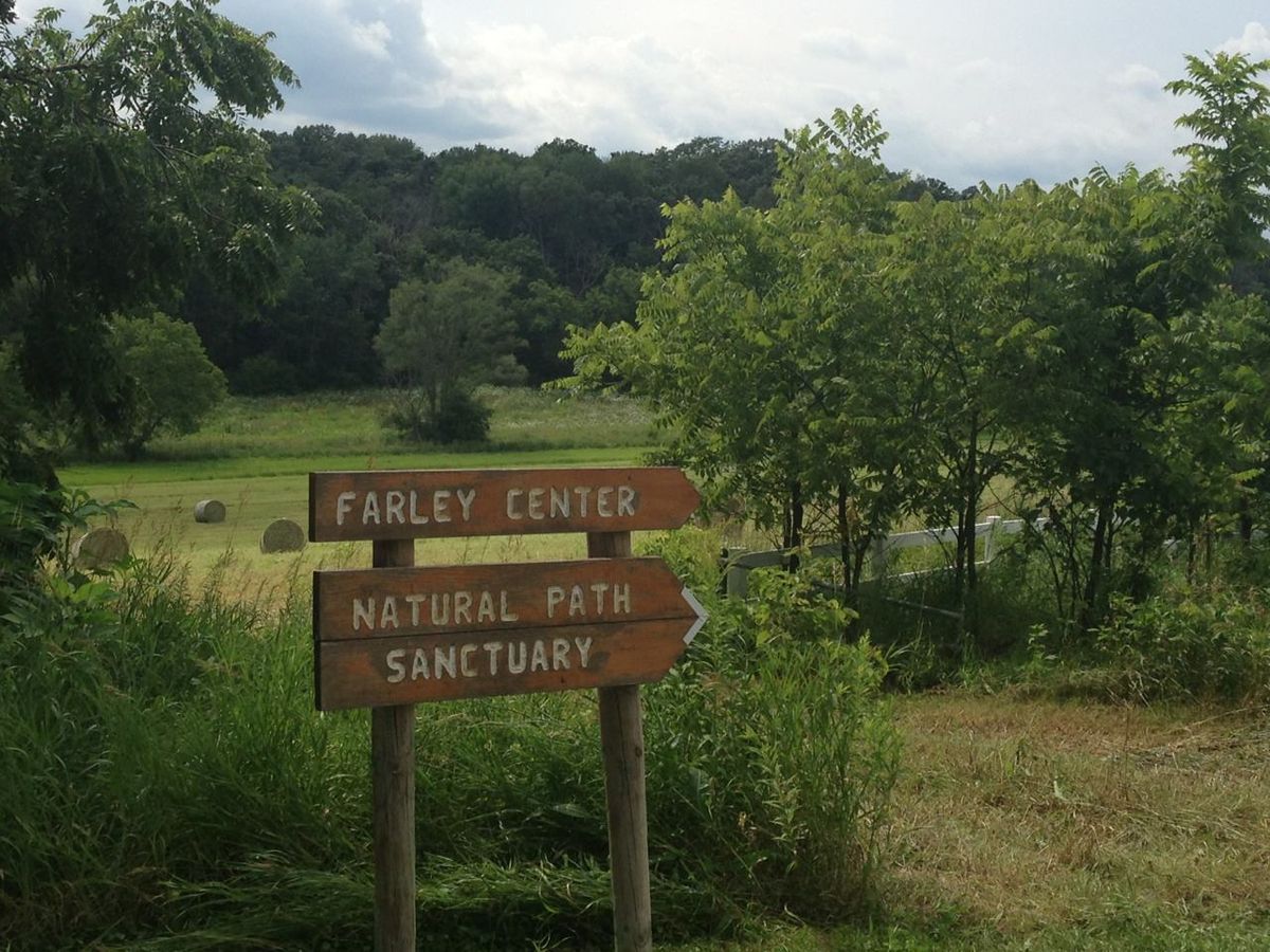 Natural Path Sanctuary Walking Tour 