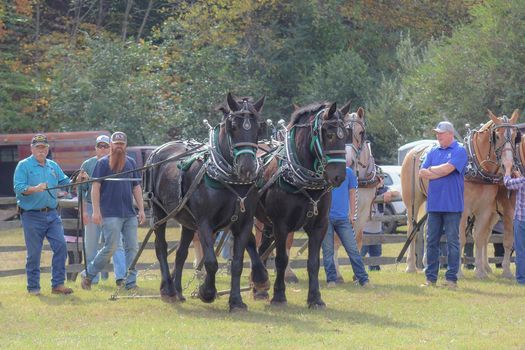 Blue Ridge Folklife Festival Ferrum College 23 October 2021 Ferrum Folklife Festival 2022