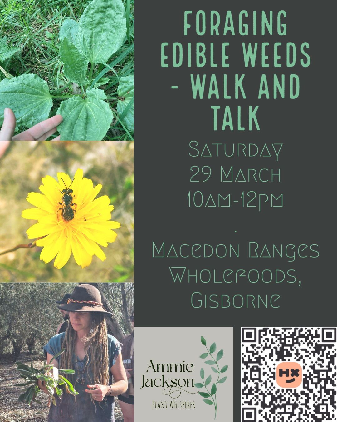 Edible Weeds Walk and Talk