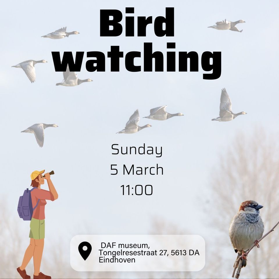 Birdwatching, DAFMuseum, Eindhoven, 5 March 2023