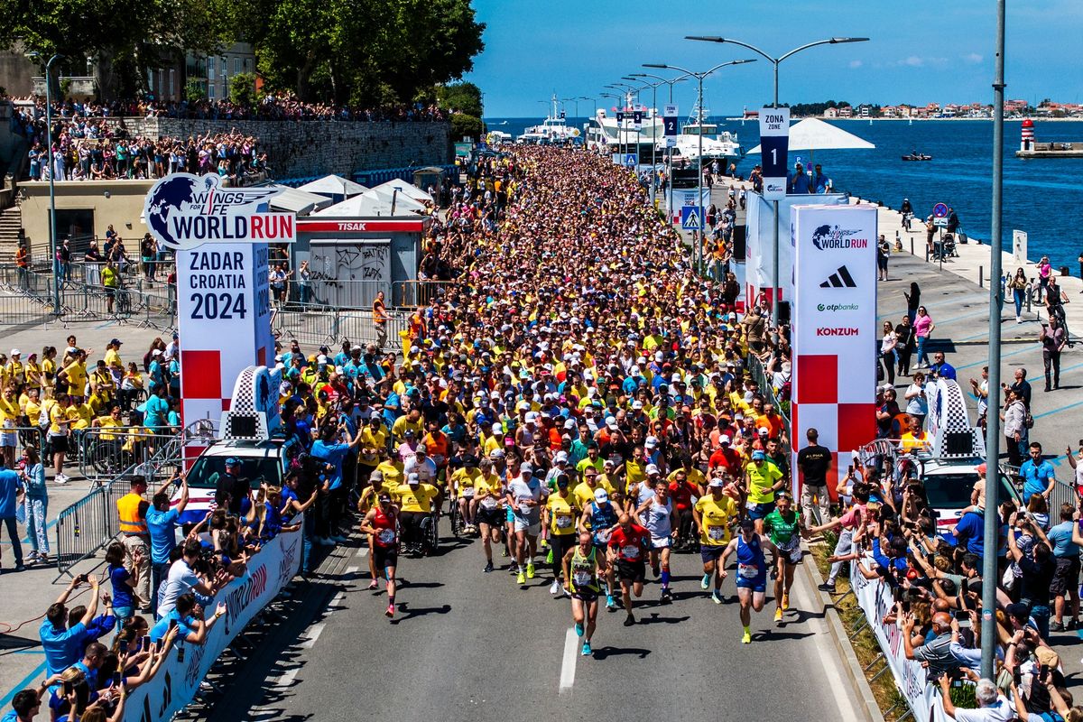 Wings for Life World Run, Zadar 2025.