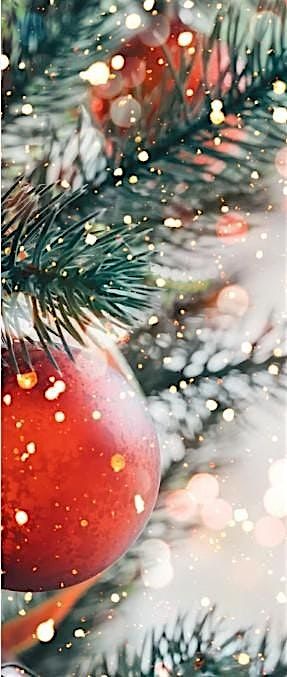 Christmas Event for our Realtor Partners