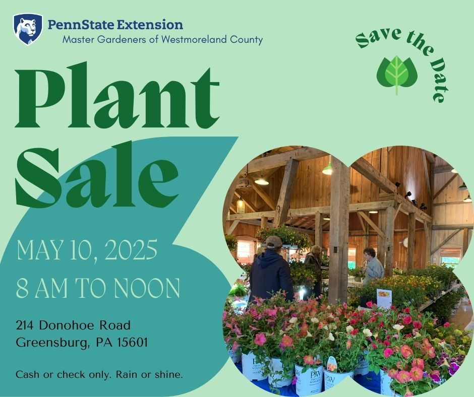 2025 Plant Sale