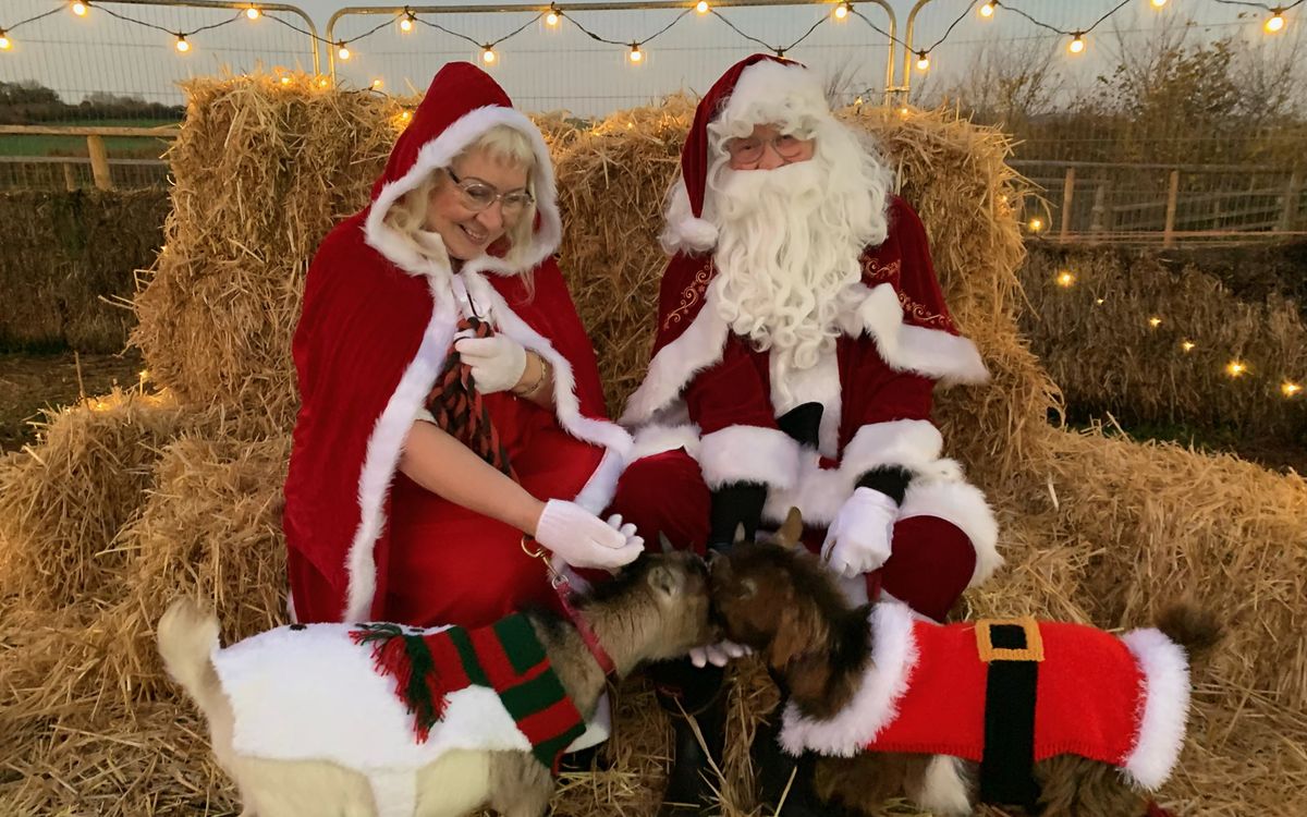 Meet Occombe Farmer Christmas