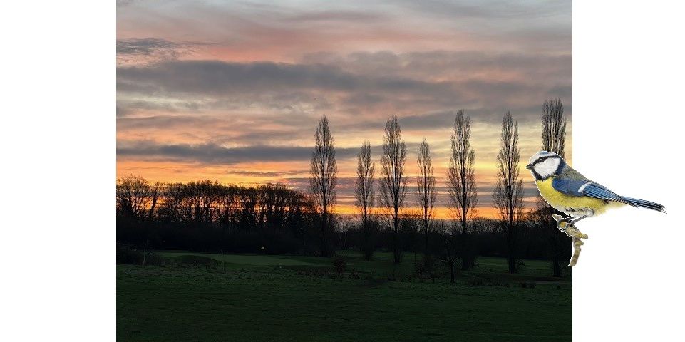 Dawn Chorus Walk 