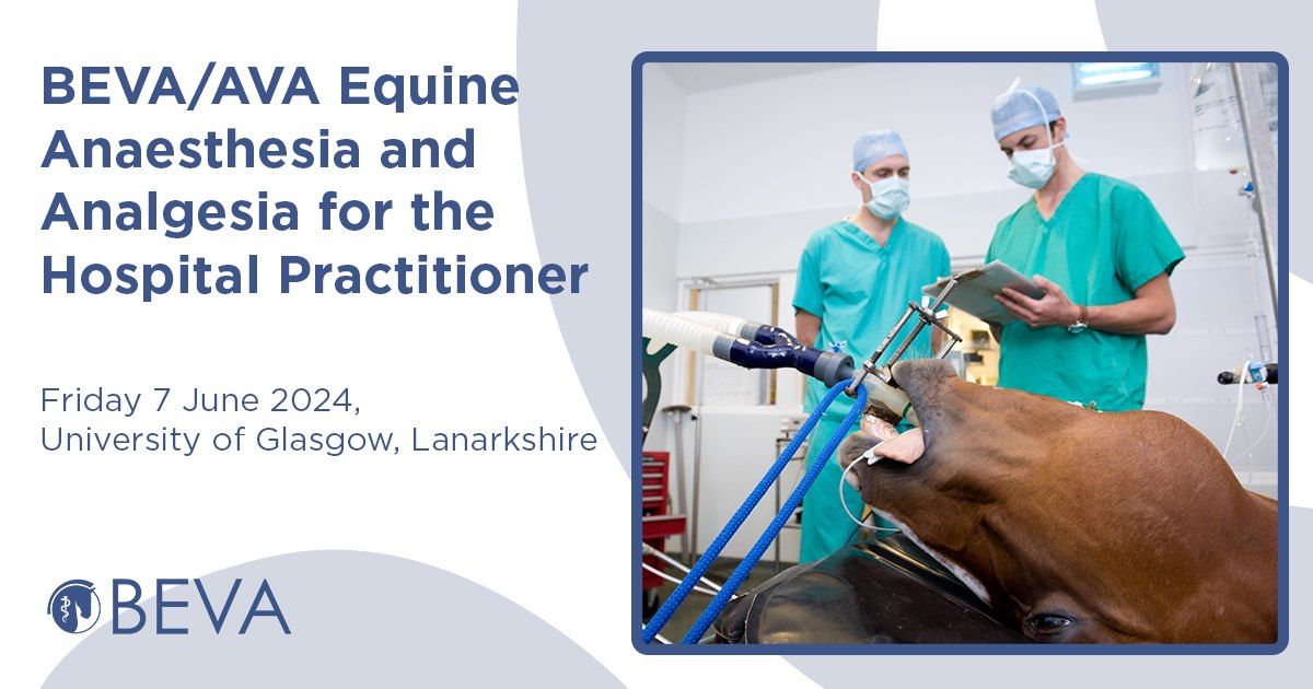BEVA\/AVA Equine Anaesthesia and Analgesia for the Hospital Practitioner
