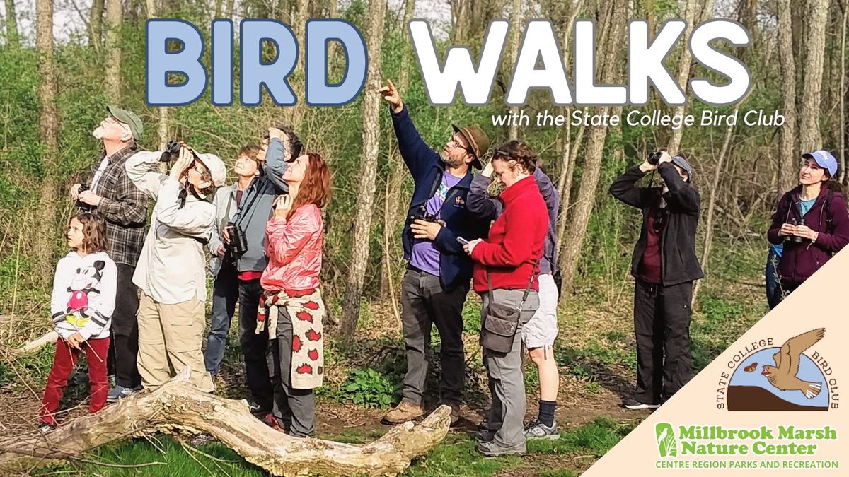 Bird Walks with the State College Bird Club