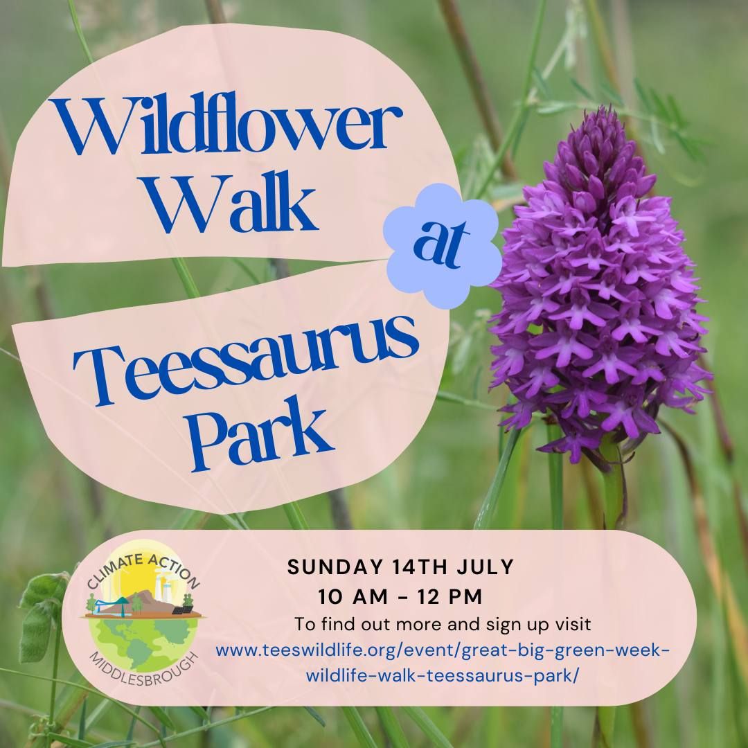 Wildflower Walk Teessaurus Park