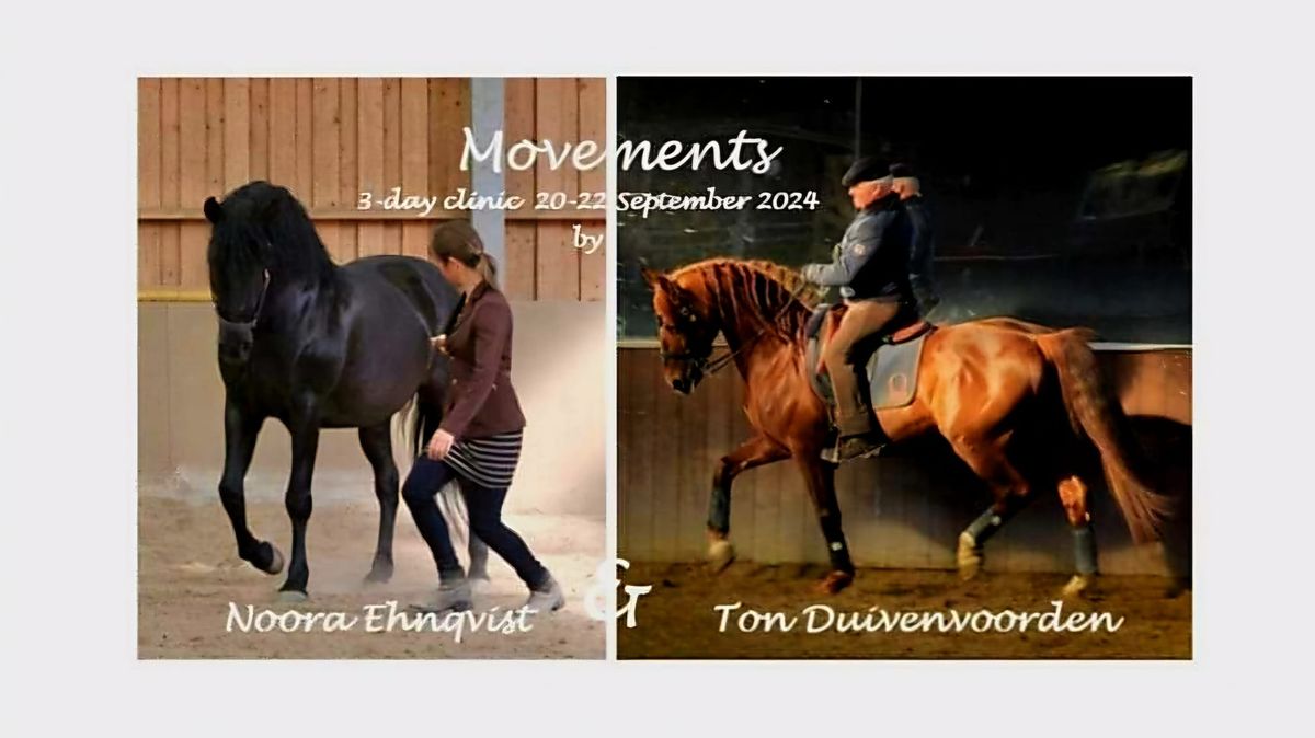 MOVEMENTS by Ton Duivenvoorden & Noora Ehnqvist 