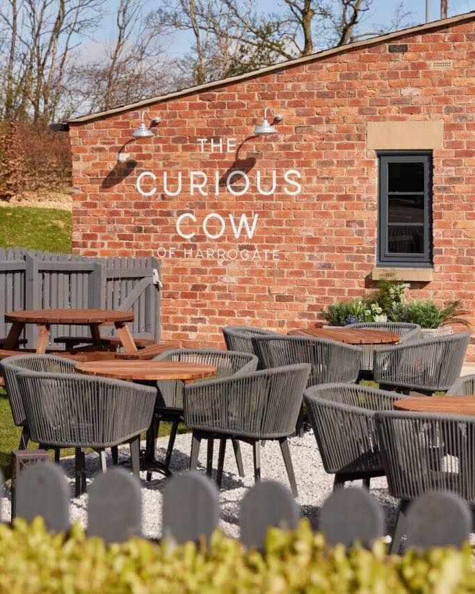 Psychic Nights One To One Readings At The Curious Cow Killinghall