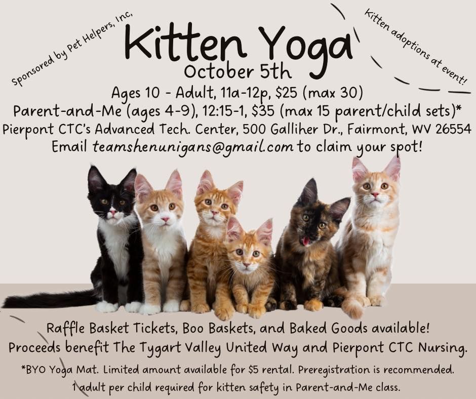 KITTENS & YOGA?!