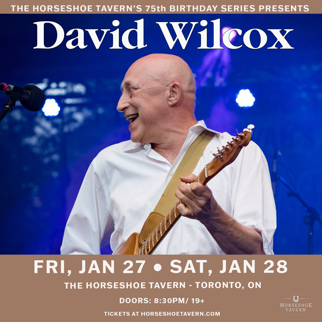 David Wilcox at Duling Hall