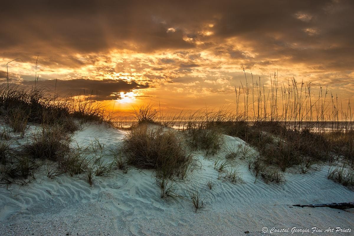 Tybee Island Sunsets To Sunrise Photography Workshop Hotel Tybee Tybee Island 19 March To 21 March Tybee Island Sunsets To Sunrise Photography Workshop Hotel Tybee Tybee Island 19 March To 21 March