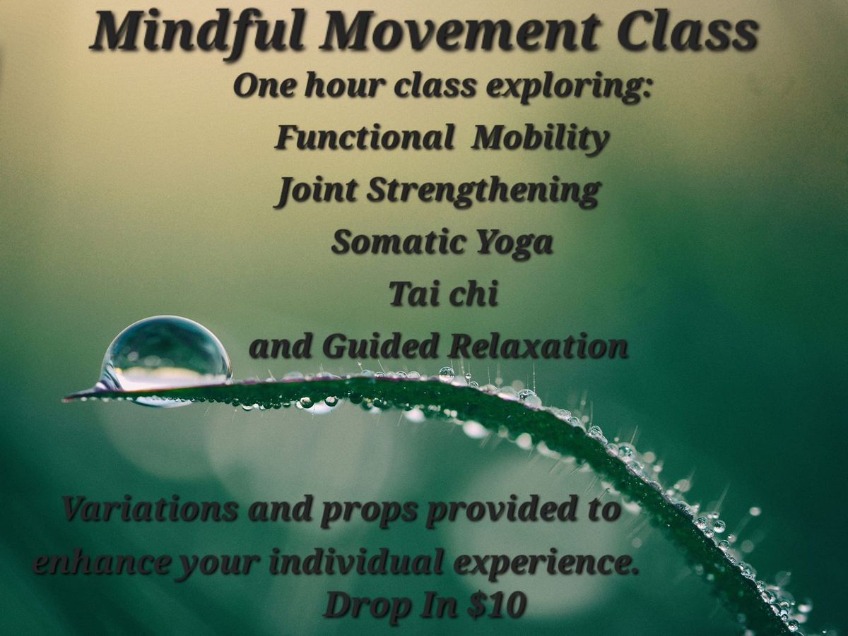 Mindful Movement Class