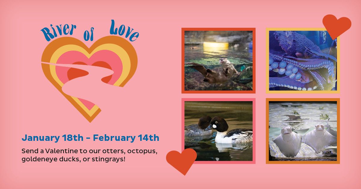 River of Love - January 18th - February 14th