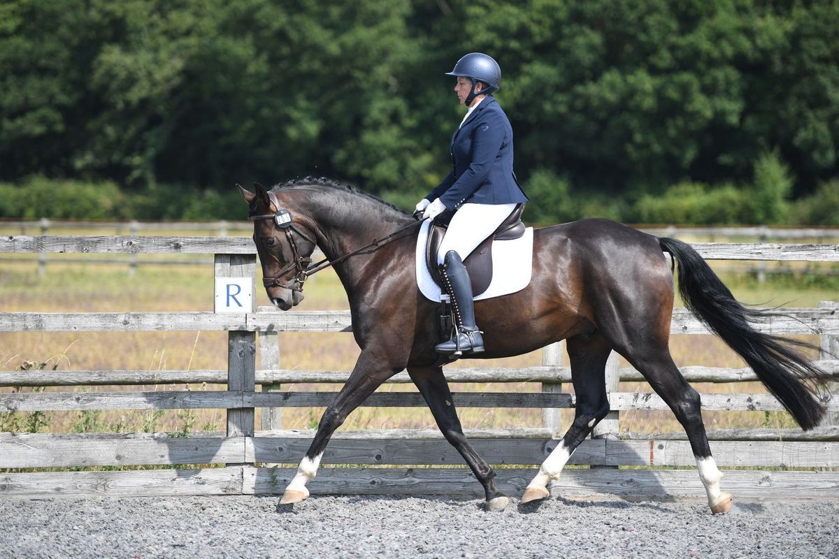 Dressage\/Flatwork Clinic