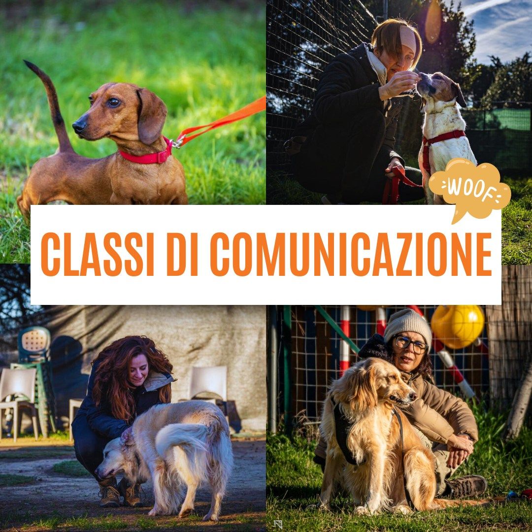 CLASSI DI COMUNICAZIONE