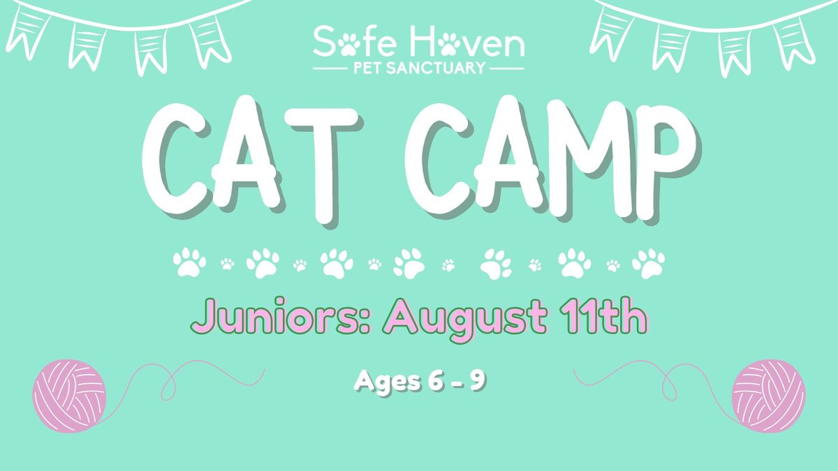 Cat Camp: Juniors 