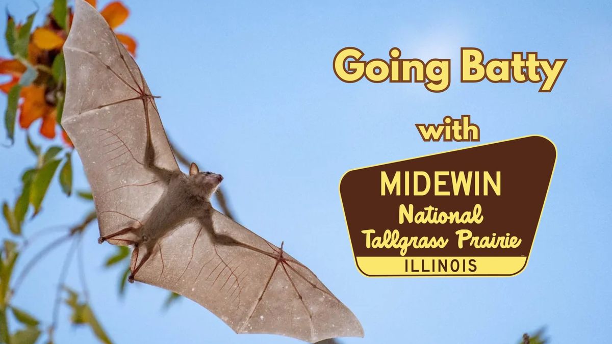 Going Batty with Midewin 