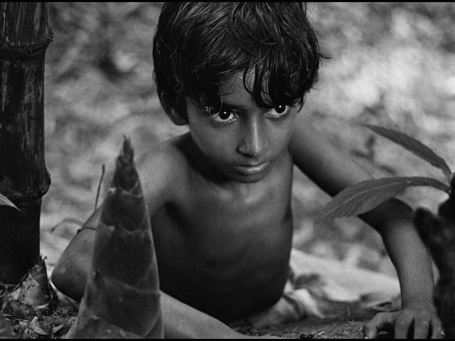 La Complainte du Sentier de Satyajit Ray 