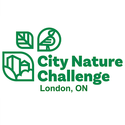 City Nature Challenge: London, ON