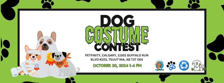 Dog Costume Contest - AARCS Fundraiser 