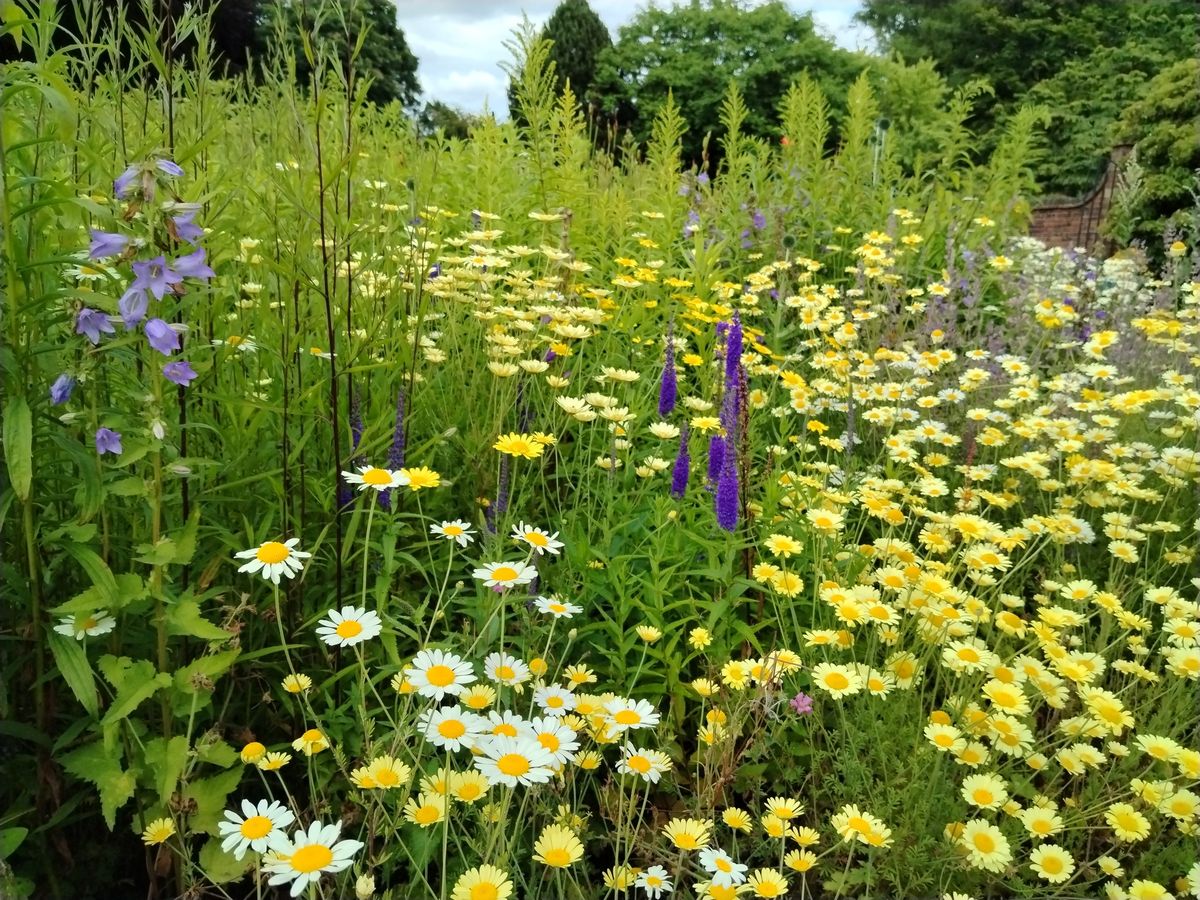 Rare Plant Fair, Winterbourne House and Garden, Birmingham