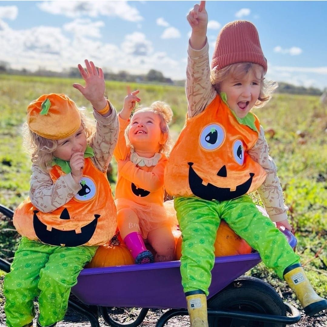 The Pumpkin Picking Adventure 