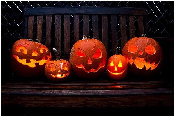 Pumpkin Patch Experience at Woodend Mill Mossley