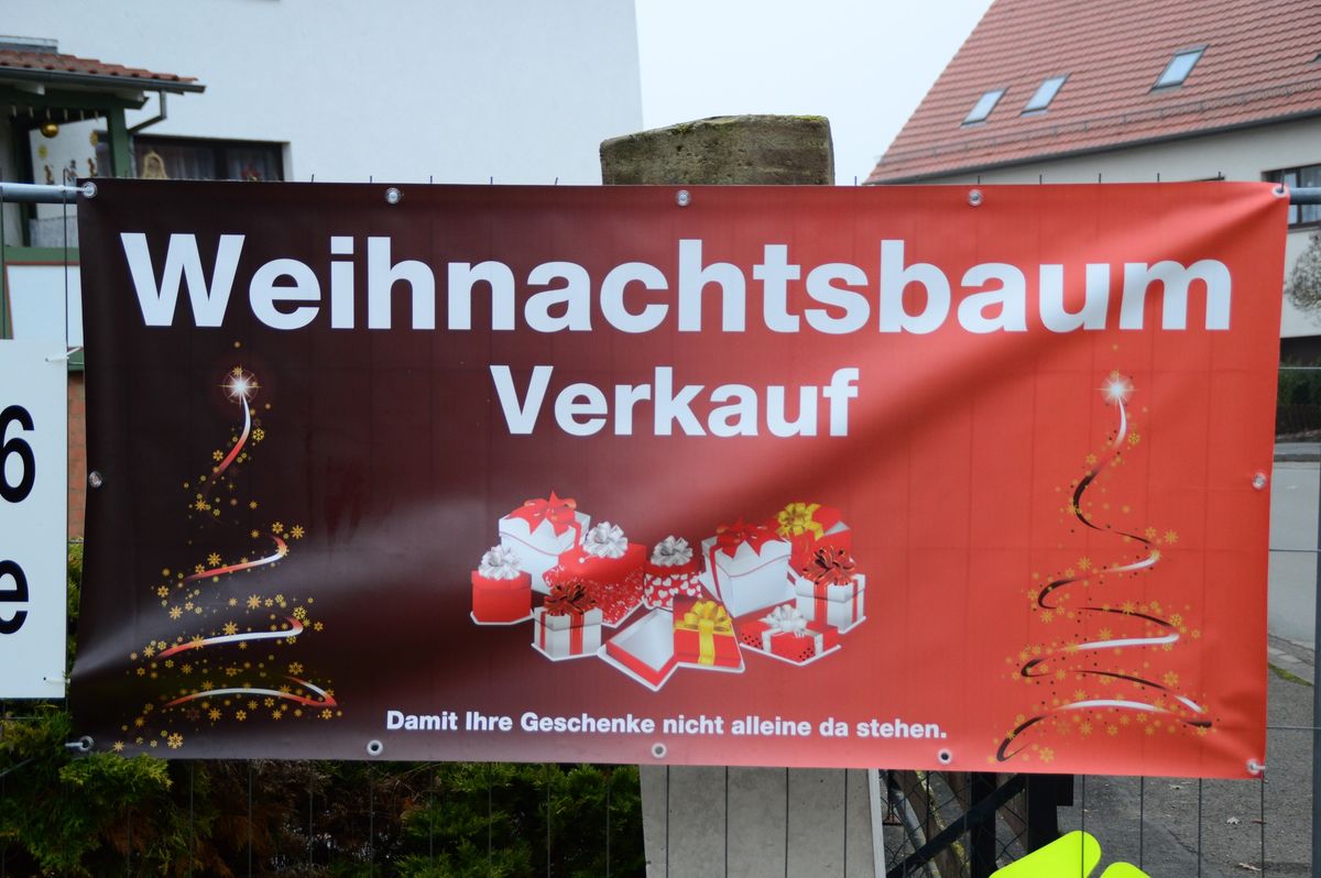 Weihnachtsbaumverkauf am Kirchplatz