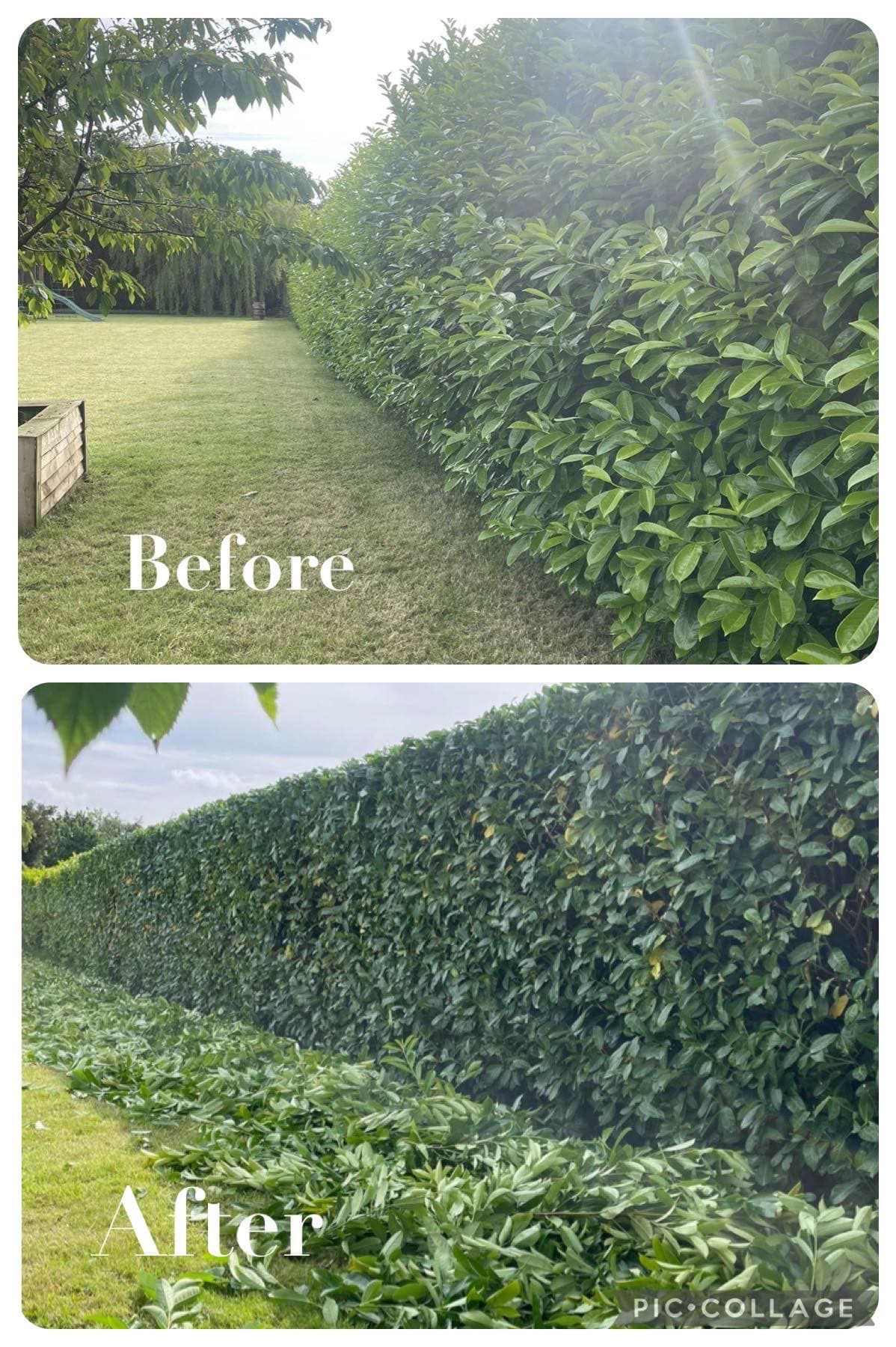 Hedge trimming , reduction booking 