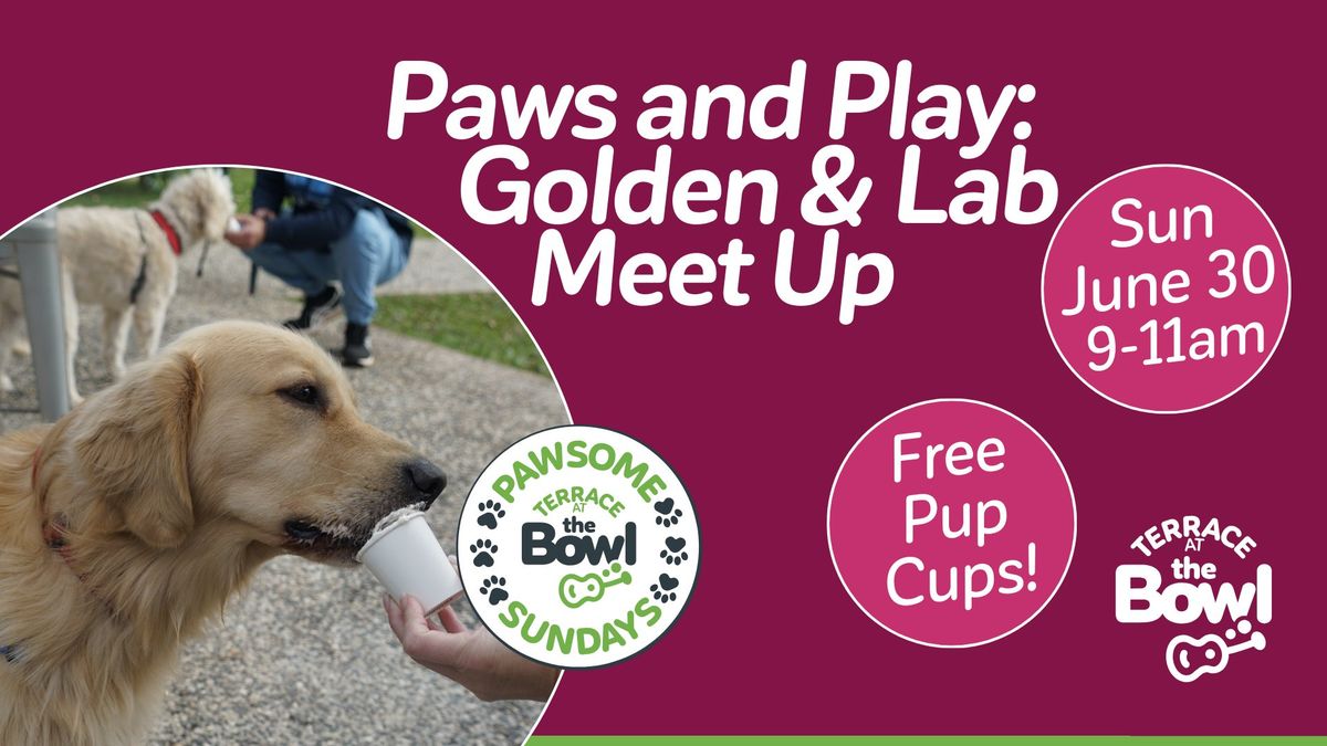 Paws and Play: Golden & Lab Meet Up