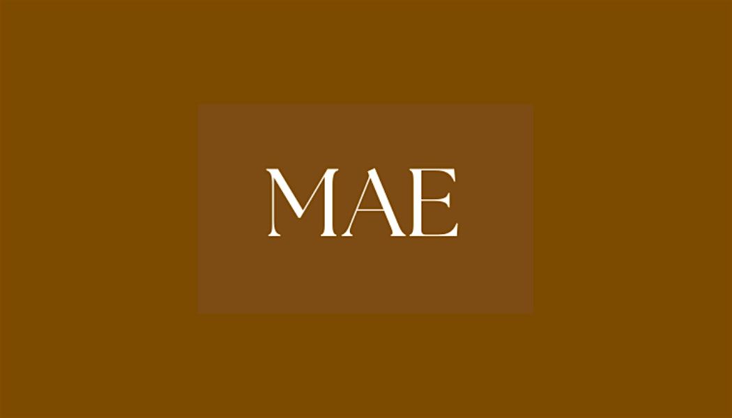 The MAE Winter Soir\u00e9es
