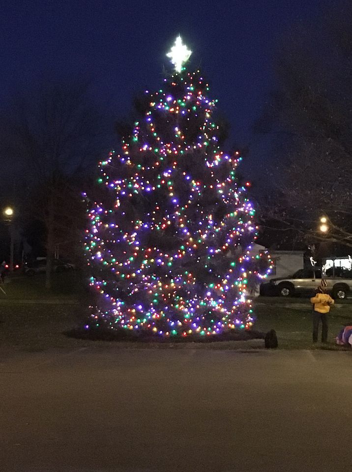 Holiday Tree Lighting, Camp Hill Borough, 8 December 2022