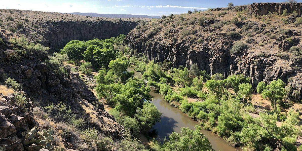 Protecting One Of Arizona's Last, Best, And Wildest Rivers: The Upper Verde
